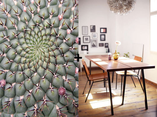 dining room cactus #interior #design #decor #deco #decoration