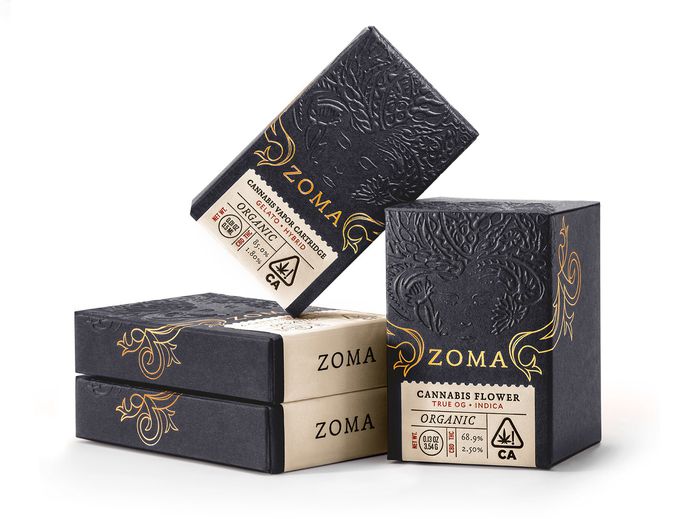 Pavement_Zoma5.jpg