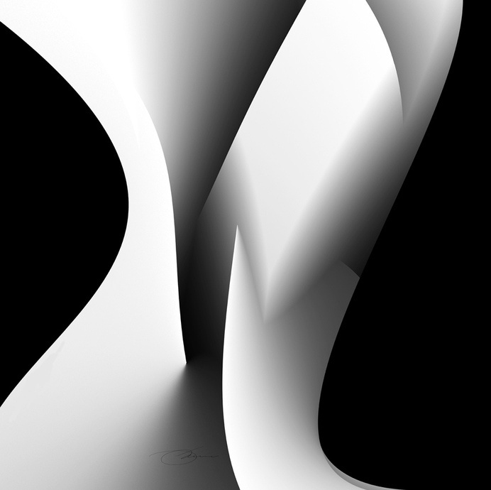 Bone | Flickr - Photo Sharing! #white #grayscale #graphic #black #illustration #poster