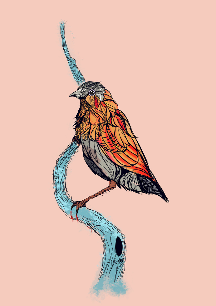 Unstinted Birds on Behance