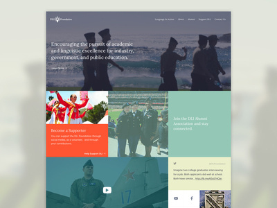 DLIF Website #usage #image
