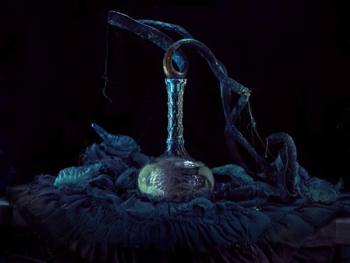 Spectacular Still Life Photography by Fiona Pardington