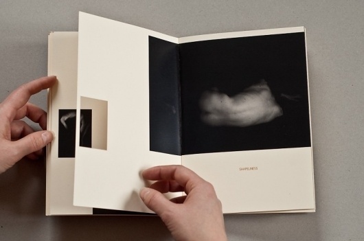 Shapeliness #photo #book
