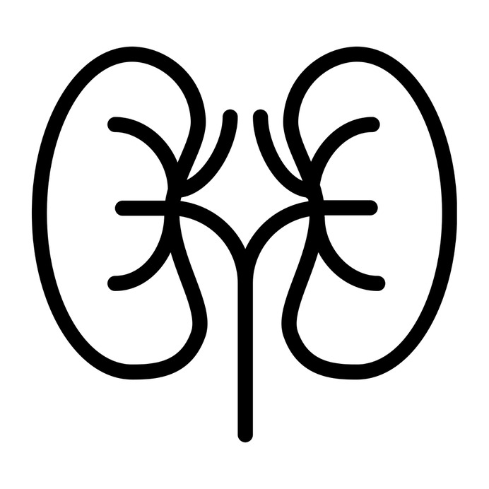See more icon inspiration related to kidney, urologist, urology, kidneys, medical, anatomy and organ on Flaticon.