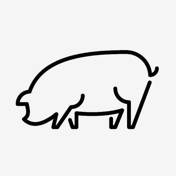 Pig! #icons #sign #symbol #pictograms #picto