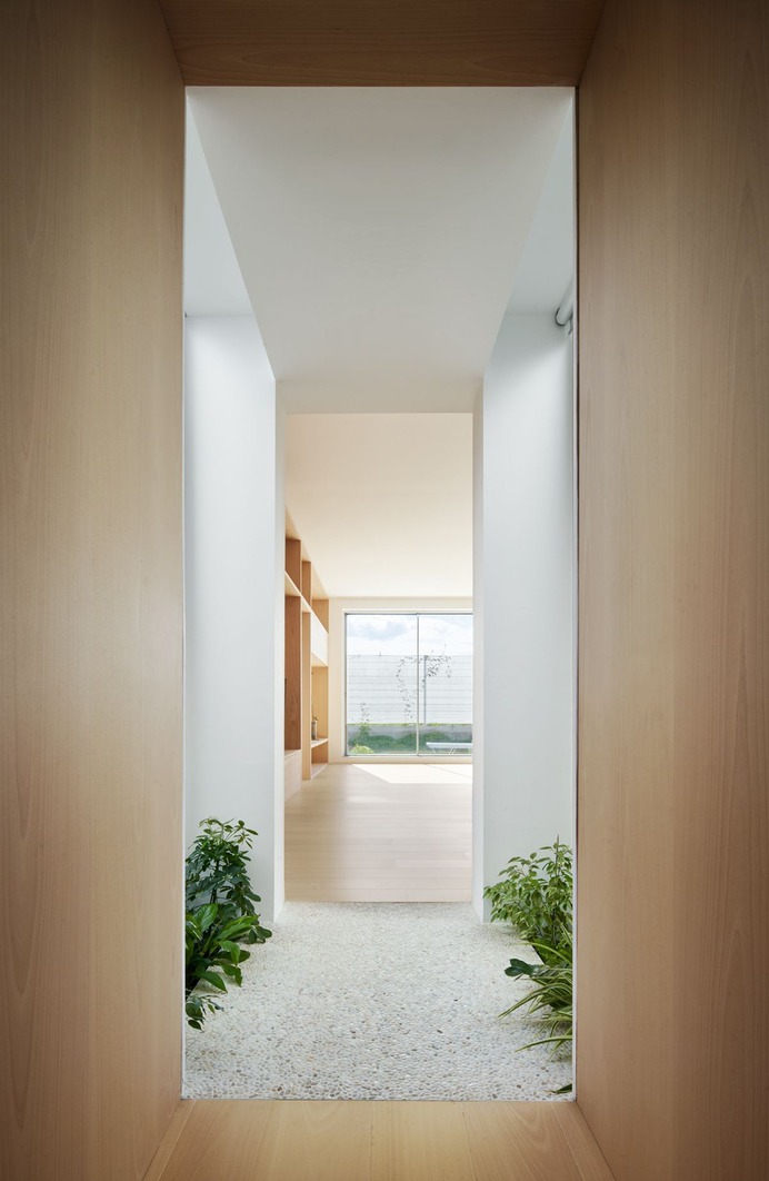 Single Family House by Arquitecturia