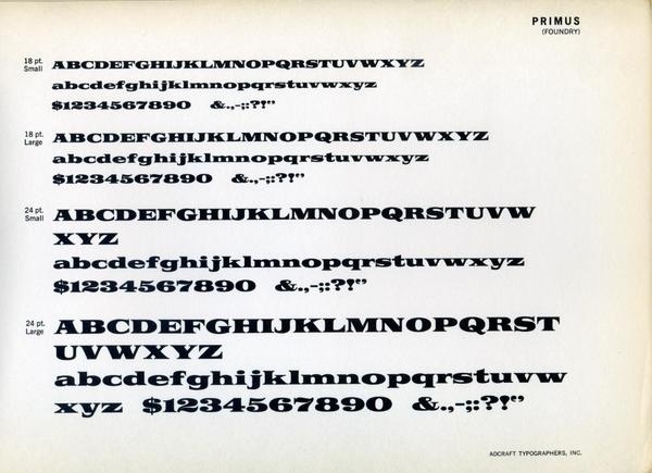 Primus type specimen #type #specimen