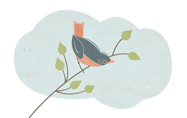 Blog — Clarke Harris #vector #sketch #texture #bird #illustration #layout #drawing #magazine