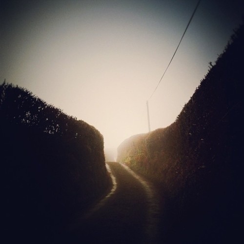 Likes | Tumblr #photography