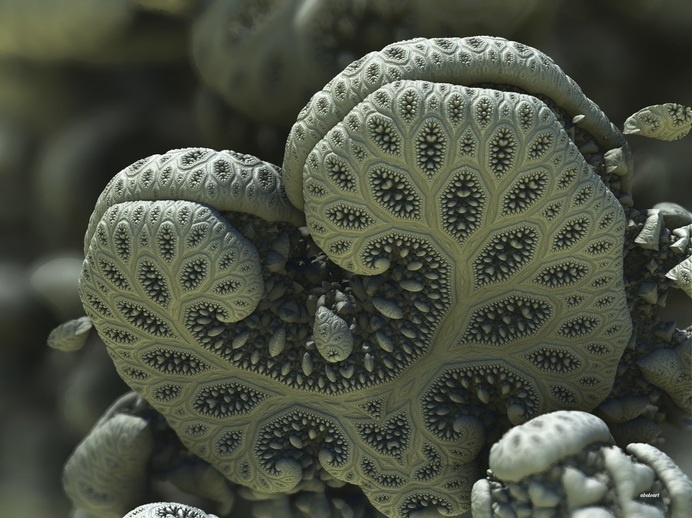 How Long Is the Coast of Britain? - but does it float #computer #abstract #form #generated #cgi #design #fractal #digital #shape #coast