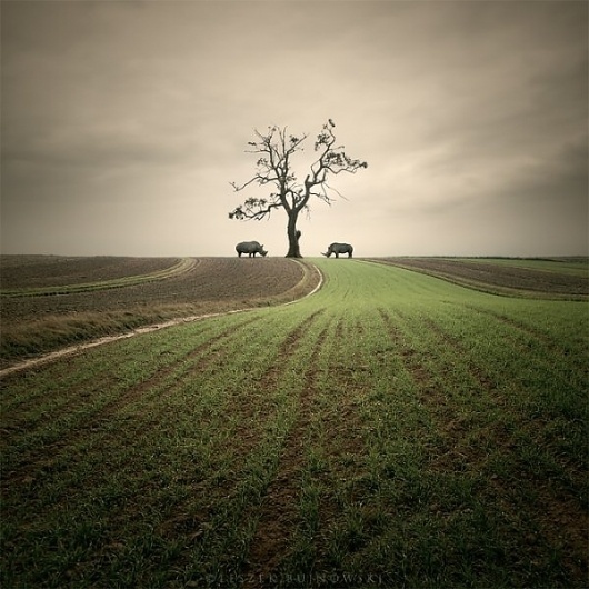 Photo Manipulations by Leszek Bujnowski » Creative Photography Blog #surreal #photography #manipulations