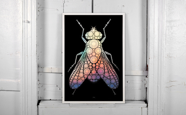 Levi's Button Fly Poster #button #levis #poster #fly