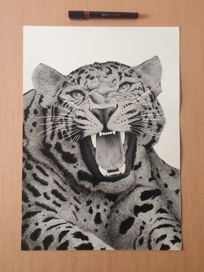 Xavier Casalta | Inspiration DE #leopard #ink #big #cat #whiskers #jaws #illustration #snarl #drawing #sketch