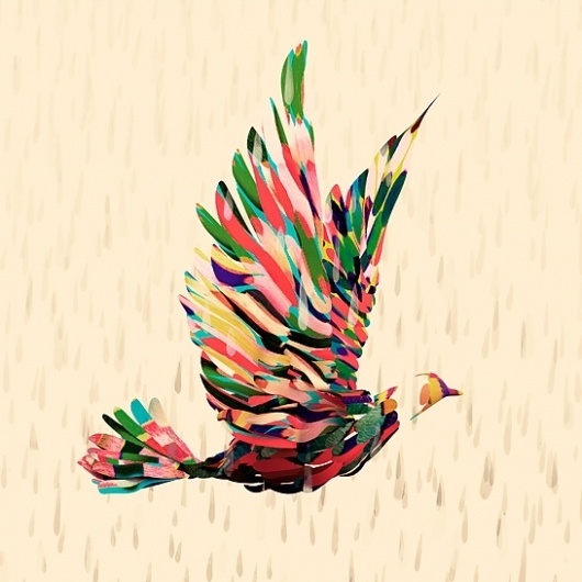 www.santtumustonen.com #colour #bird