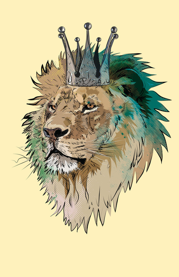 Jam 250 Feature Designer: Matt Fontaine #vector #lion #yellow #the #king