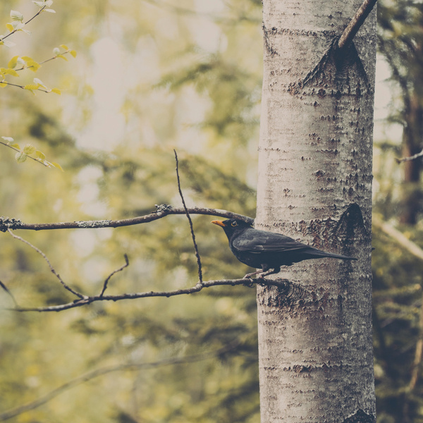 Lost in transformation on Photography Served #photography #nature
