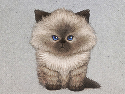 siamese cat #illustration #watercolor #cat #siamese