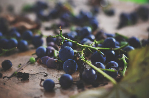 Likes | Tumblr #berries