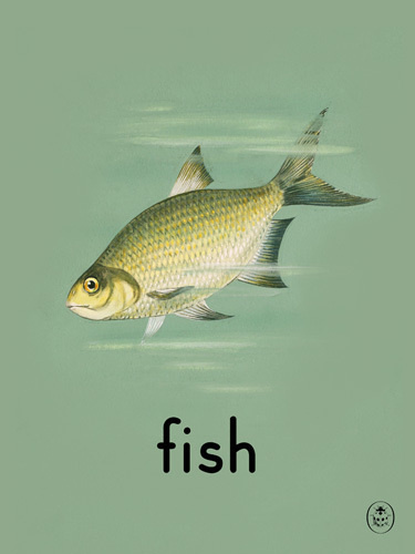 fish Art Print by Ladybird Books Easyart.com #print #design #retro #artprints #vintage #art #bookcover