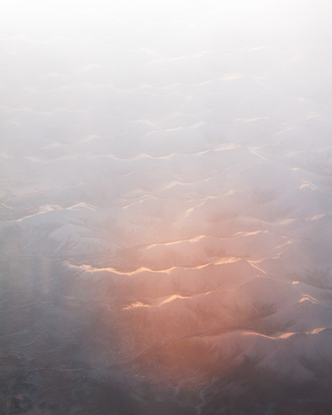 Arrangements : Clayton Cotterell #photography #mist