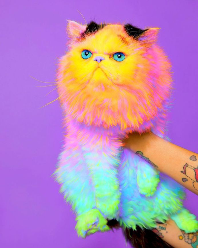 #candyminimal: Ramzy Masri Turns The World Into a Rainbow Paradise