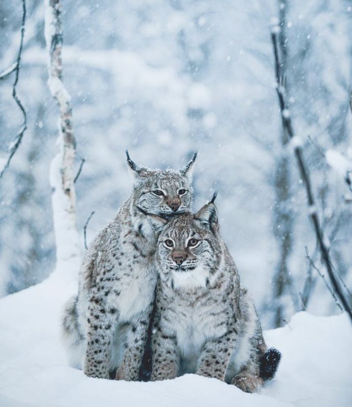 Stunning Travel and Adventure Photography by Tobias Meyer