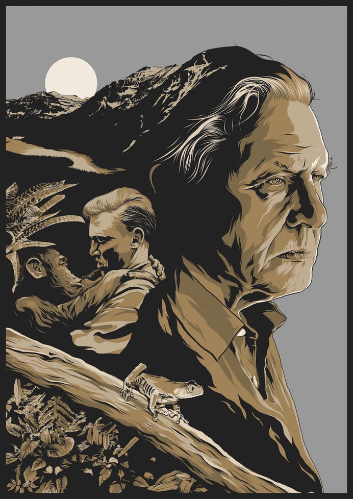 David Attenborough poster