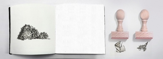 Paisaje Taquigráfico on the Behance Network #diego #ink #pinzon #book #illustration #nature #diary #editorial