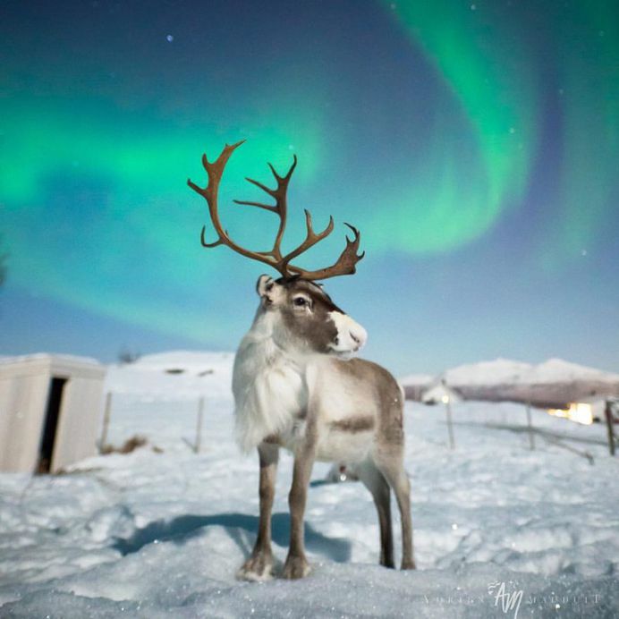 Adrien Louis Mauduit Captures The Northern Lights in Norway