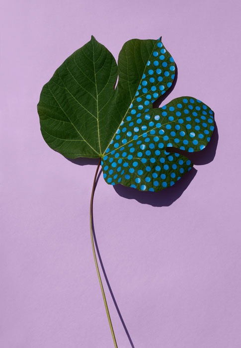 »Wonderplants«