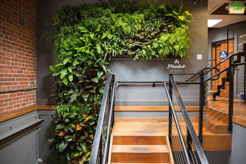 Nylas - Living Wall