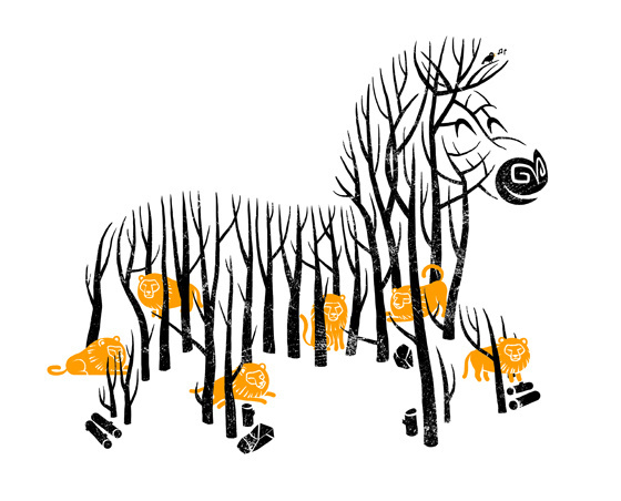 zebra