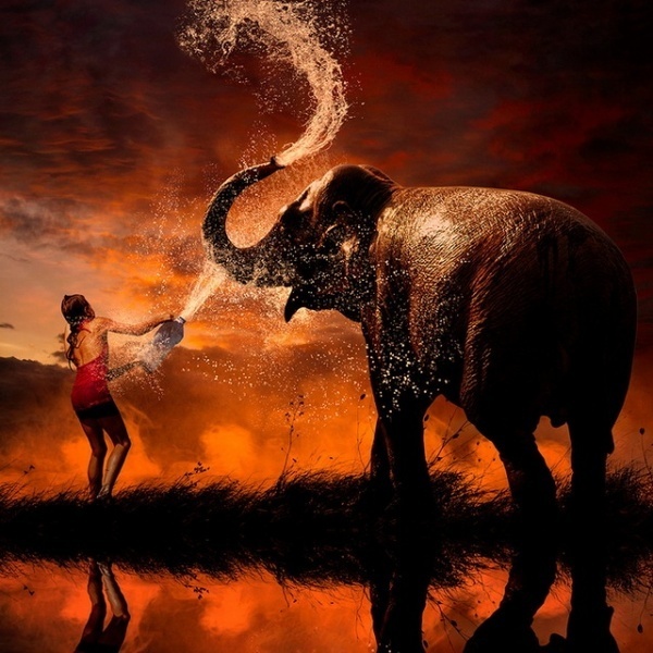 Photo Manipulations by Caras Ionut #photography #manipulations #art