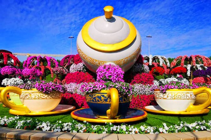 Kettle Brewing flowers at the Dubai Miracle Garden. A complete tea set that brews flowers. only at the Dubai Miracle Garden.