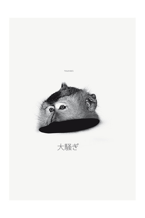 monkey head #photo #monkey