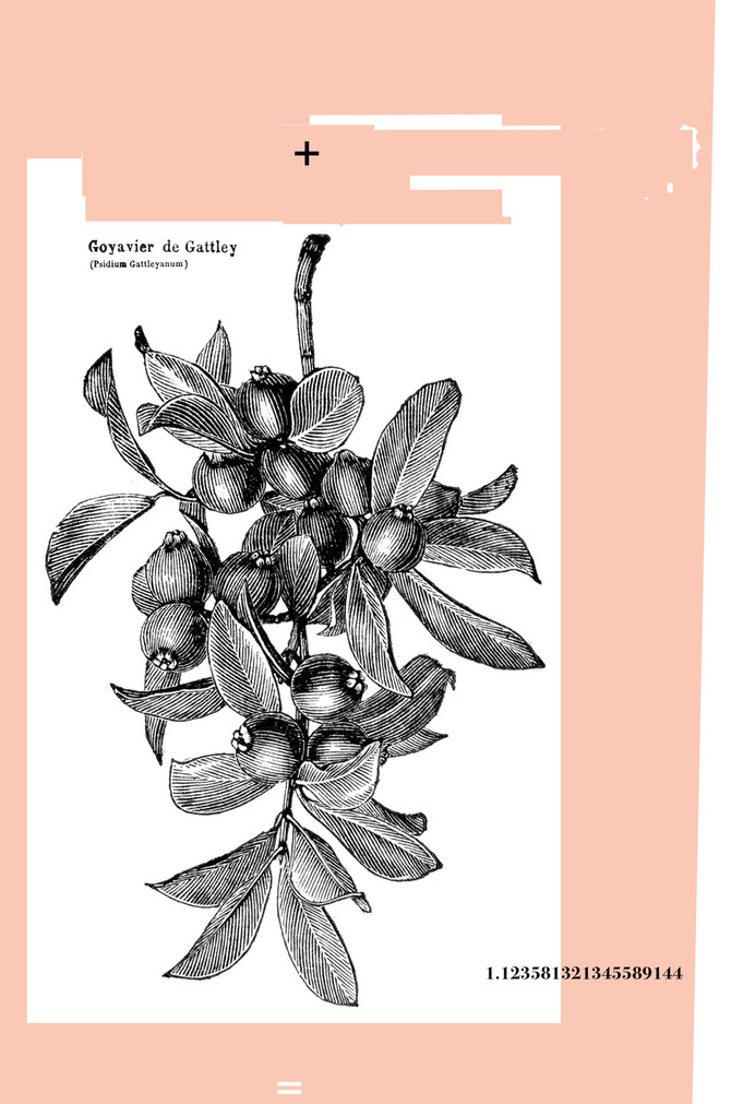 marchbank.us 1.12 #plus #design #poster #plant