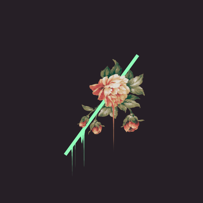 RENAUD TISSANDIÉ /DUBSKY #collage #flower #artwork #photoshop #green #melt