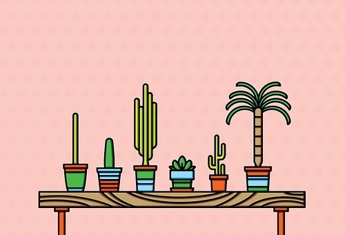 Cactus Shelf #palm #tree #home #succulent #illustration #cactus #shelf