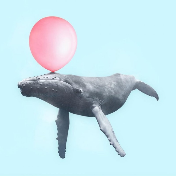 Paul Fuentes Turns Everyday Objects Into Surreal Pop Art Photo Collages