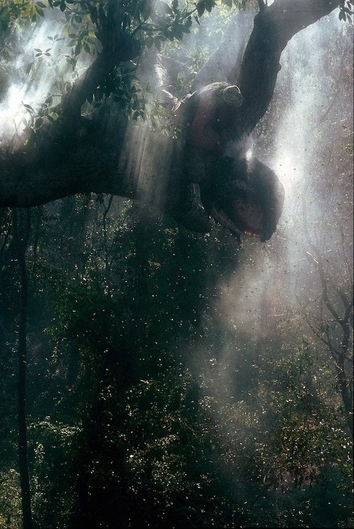 http://www.ericvalli.com/index.php?/stories/jungle-nomads/ #noamds #eric #valli #jungle