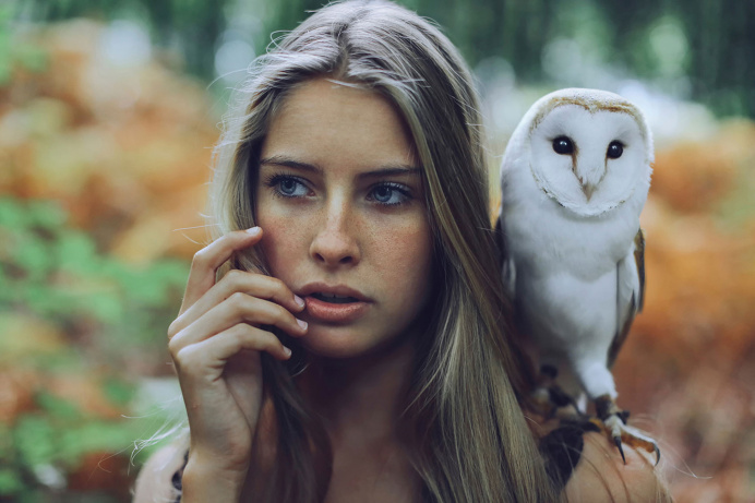 Beautiful Girl With Owl