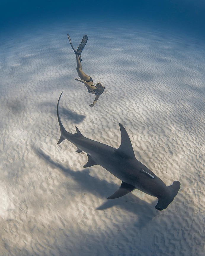 Handsome Underwater Photography by Jason Washington