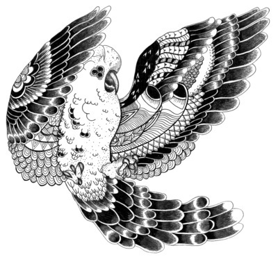 Art Print #illustration #parrot #drawing #black&white