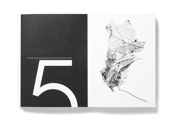 At This Rate Booklet Matt Willey #leaf