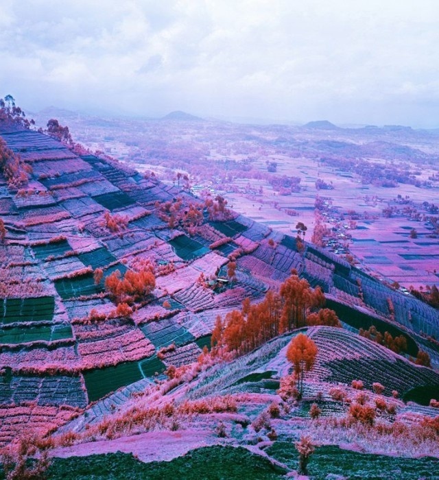 Fine Art Landscapes by Richard Mosse #inspiration #photography #landscape