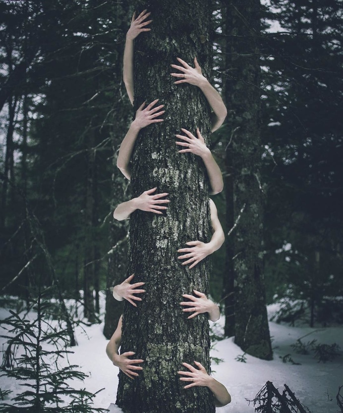 Dreamlike and Conceptual Photography by Shaina Sterrett