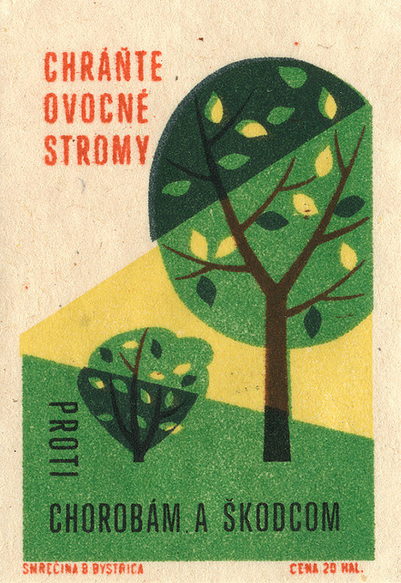 czechoslovakian matchbox label | Flickr - Photo Sharing! #matchbox #illustration #trees #label