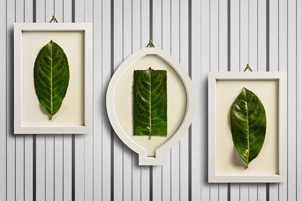 ImprobabilitÃ #colarusso #frames #improbability #giuseppe #leafs