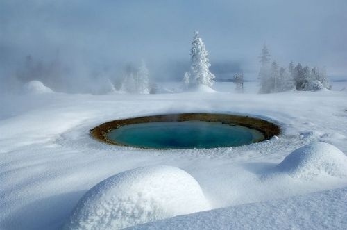 Tumblr #nature