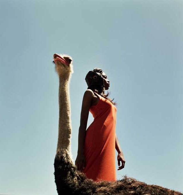 Fine Art Fashion Photography by Annelie Vandendael #fashion #photography #inspiration